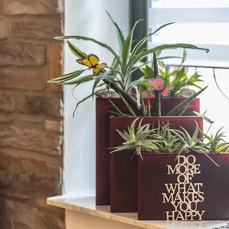 Boddenberg Apartment